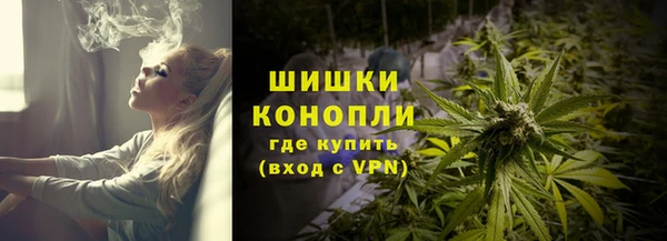 прущие грибы Пенза