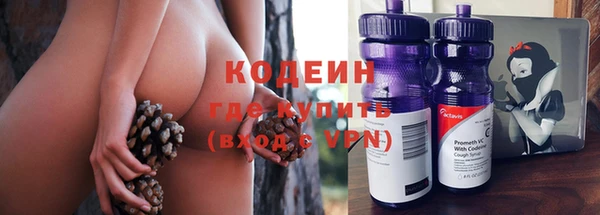 гидра Заводоуковск