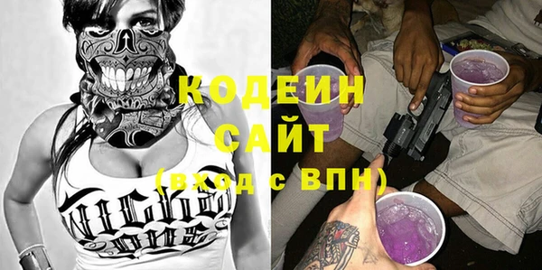 сатива Инсар