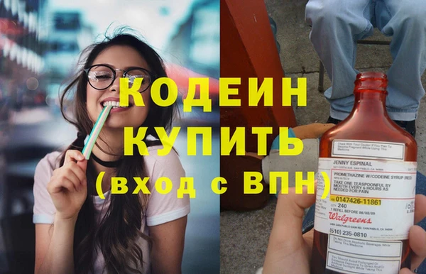прущие грибы Заволжск