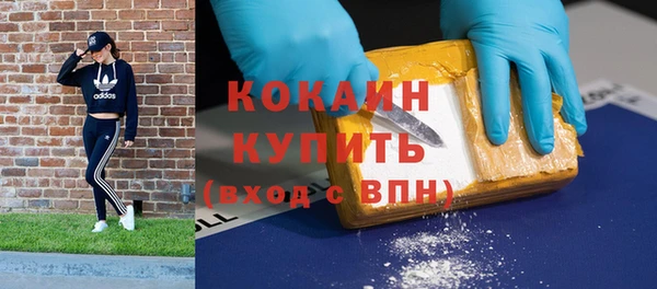 сатива Инсар